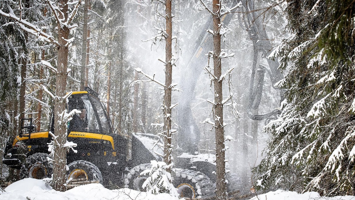 Suomen tavoitteena on, että kesällä julkaistava lulucf-asetus huomioisi nykyistä paremmin Suomen metsien todelliset nielut.