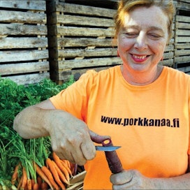 Irmeli Vinnikainen viljelee keltaista ja violettia porkkanaa tutun oranssin lisäksi. Porkkanat ovat esillä Herkkujen Suomi -tapahtumassa 22. elokuuta. Kari Salonen