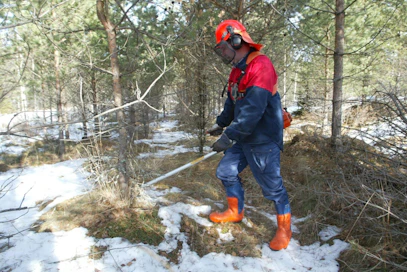 Kemeratuki on tärkeä kannustin etenkin nuoren metsän kunnostuksissa.