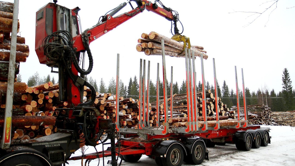 Metsänomistaja voi vaatia, että puutavaraa ei kuljeteta tehtaalle ennen kuin hakkuu on päättynyt. Silloin metsänomistajalla on aikaa käydä katsomassa pinot ennen kuljetusta.