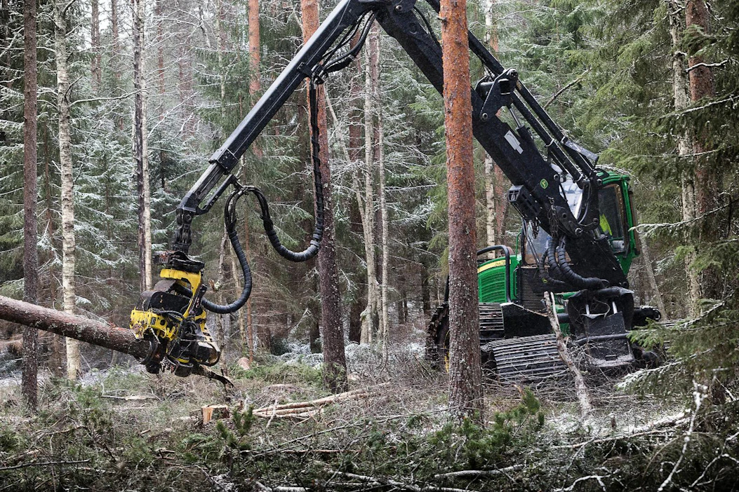 Ympäristövaliokunnan äänestys aiheutti hämmennystä metsäalan toimijoissa: puuta ja kantoja voitaisiin polttaa, mutta niiden käyttöä biopolttoaineiksi ei tuettaisi.