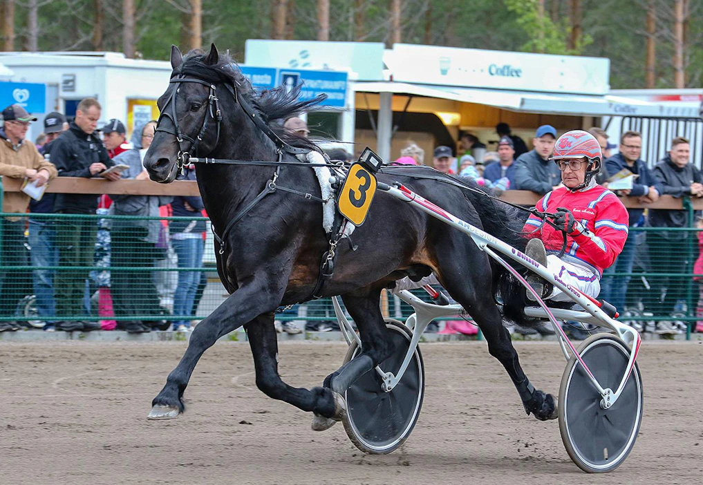 Maailman kylmäverihuippuihin kuuluva Månprinsen A.M. starttaa illalla Rommen T64-jackpotkierroksen pankkien pankkina. Rattaillaan istuu, kuten aina, Gunnar Melander, 73.