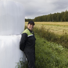 Ylikiiminkiläinen Pekka Hallikainen on tyytyväinen kesän säilörehusatoon. Ohran puinti on vielä kesken, mutta viljasatoa Hallikainen kuvailee keskinkertaiseksi. 