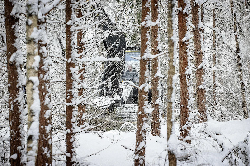 Rahastojen osuus jatkoi nousuaan viime vuoden metsätilakaupoissa, yksityisten osuus supistui vastaavasti.