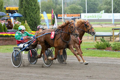 Markku Hietasen ohjastama Akaasia kiri sunnuntaina Turussa ulkoa Matti Nisosen Saaga S:n ohi. Piiskoja ei tarvita eikä ohjilla naputella edes aisoihin, vaan tammat ottavat toisistaan mittaa omasta juoksemisenhalustaan.