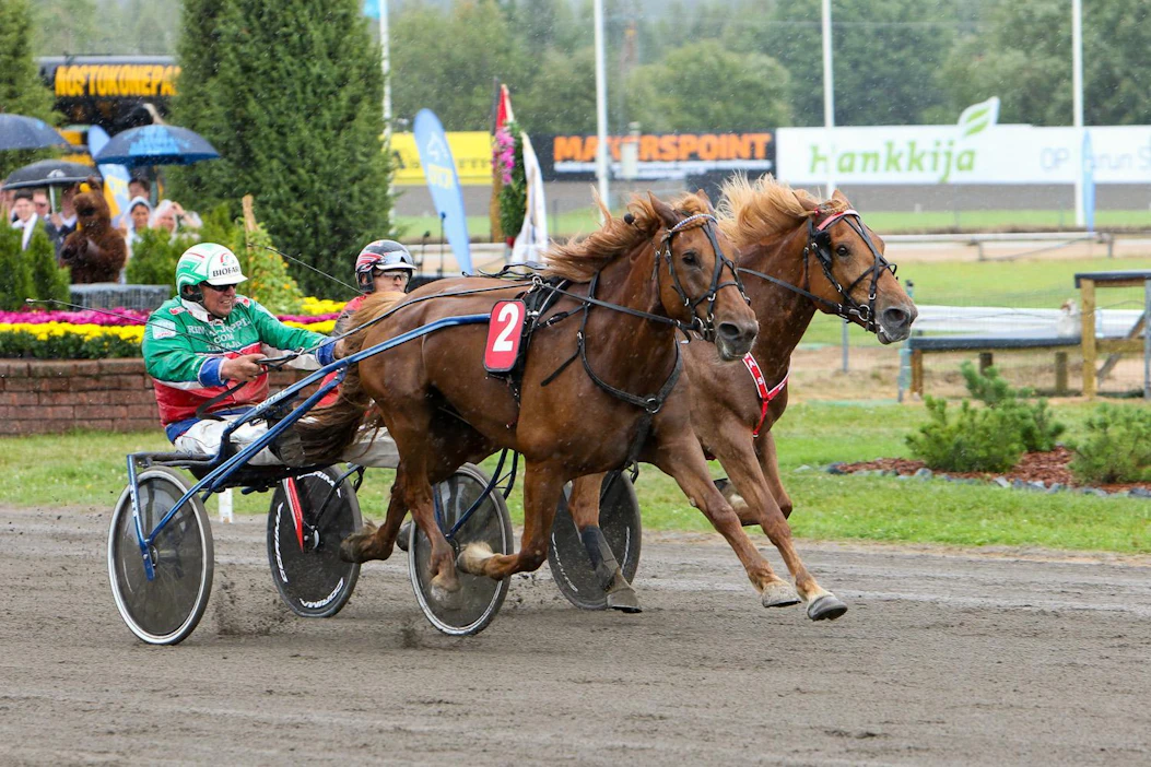 Markku Hietasen ohjastama Akaasia kiri sunnuntaina Turussa ulkoa Matti Nisosen Saaga S:n ohi. Piiskoja ei tarvita eikä ohjilla naputella edes aisoihin, vaan tammat ottavat toisistaan mittaa omasta juoksemisenhalustaan.