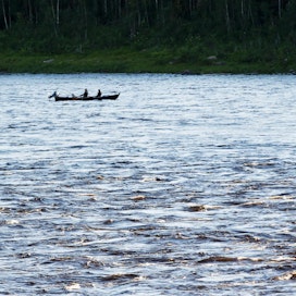 Viime vuonna Pellossa kalastettiin Tornionjoen lohta heinäkuussa lohta leppoisissa tunnelmissa.