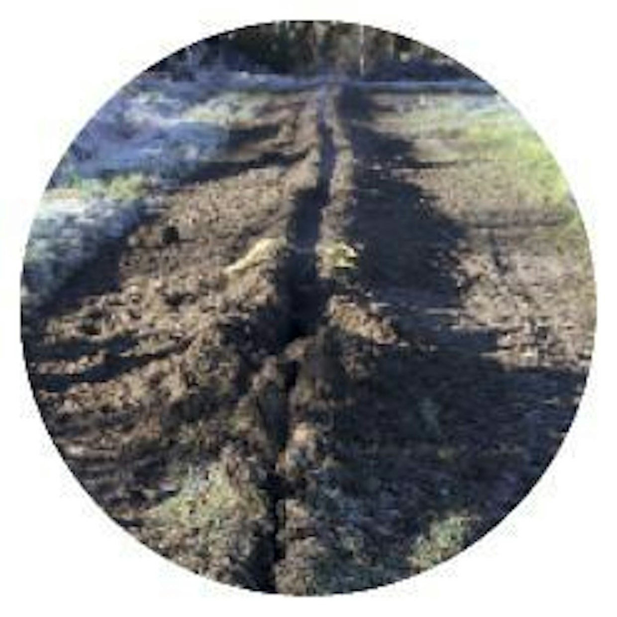 Kaapeliauran käytöstä ei juuri jälkiä jää. Taaempana näkyvä ketjukaivurin ura (pun. nuoli) on hieman leveämpi, mutta silti erittäin helppo peittää ja siistiä.
