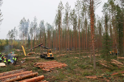 Pehmeiden maiden korjuusta on keskusteltu – ja keskustellaan tulevaisuudessakin paljon. Kaakkois-Suomen ammattikorkeakoulu ja Metsä Group olivat saaneet liikkeelle konevalmistajat ja -maahantuojat esittelemään omia versioitaan pehmeiden maiden korjuuketjuista Haukivuoren alueella.