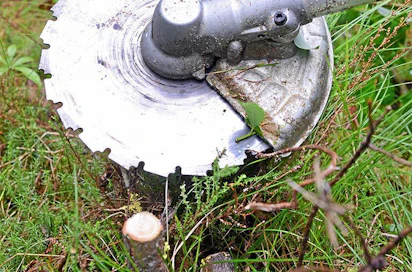 Arvonlisäverovelvollinen metsänomistaja saa metsä­talouteen liitty­vien ostostensa arvonlisä­verot takaisin valtiolta.