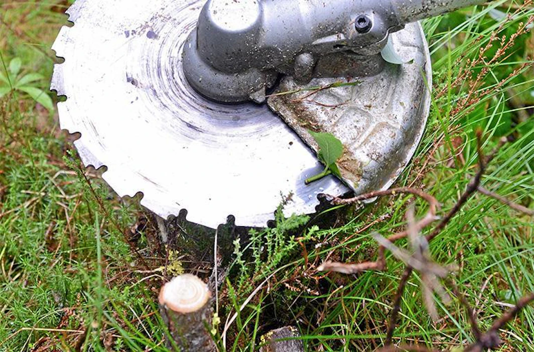 Arvonlisäverovelvollinen metsänomistaja saa metsätalouteen liittyvien ostostensa arvonlisäverot takaisin valtiolta.