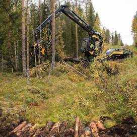 Turvemailla kestävästi kasvaneita raaka-aineita tulee MTK:n mielestä voida käyttää energiaksi jatkossakin. Liian tiukat kestävyyskriteerit lamaannuttaisivat biotalouden kehitystä Suomessa.