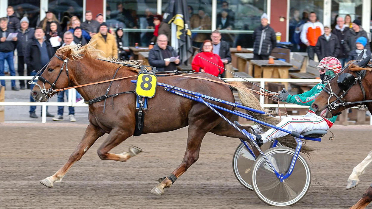 Parvelan Retu on paras! Megalupaus hakee Killerin Derby-karsinnoista jo 22. voittoaan putkeen.
