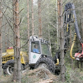 Valtio haluaa lisätä metsäenergian käyttöä. Sitä tarvitaan turpeen korvaamiseen.