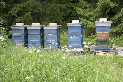 Yrittäjä Tarja Uusipaaston Uusi-Yijälän viinitila. Mehiläispesä, mehiläiskasvatus, pesälaatikko.