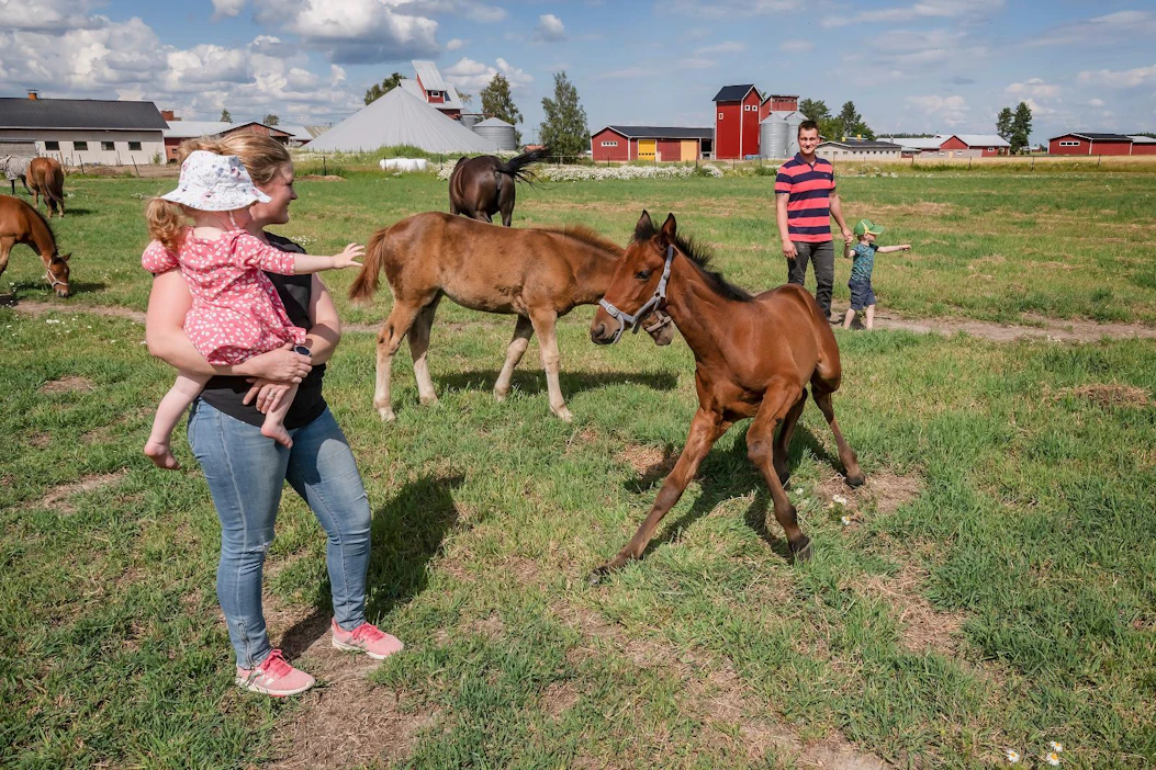 Viime heinäkuussa otetussa kuvassa Riikka Takanevalla on sylissään Aino ja Ari Takanevalla käsipuolessa Iivari. Keskellä varsat Larvan Josanna ja Bigwig Swamp.