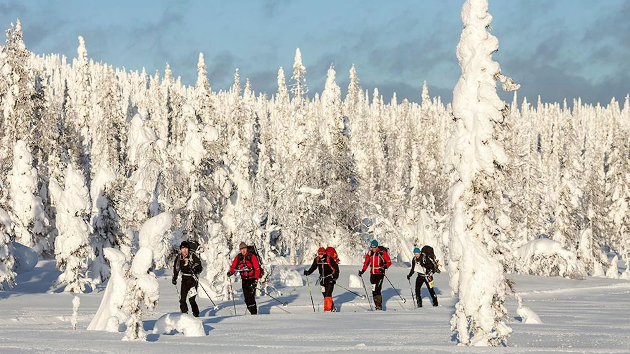 MT oli paikalla vuonna 2015, kun umpihankihiihdon MM-kisat sivakoitiin Syötteen kansallispuiston tykkymaisemissa.
