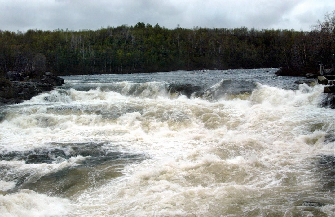 Norja on jo määritellyt Näätämön joeksi, jossa kalastetaan liikaa. LEHTIKUVA / Patricia Pfister