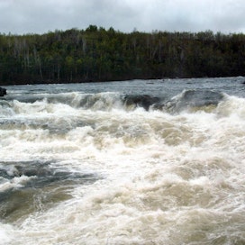 Norja on jo määritellyt Näätämön joeksi, jossa kalastetaan liikaa. LEHTIKUVA / Patricia Pfister