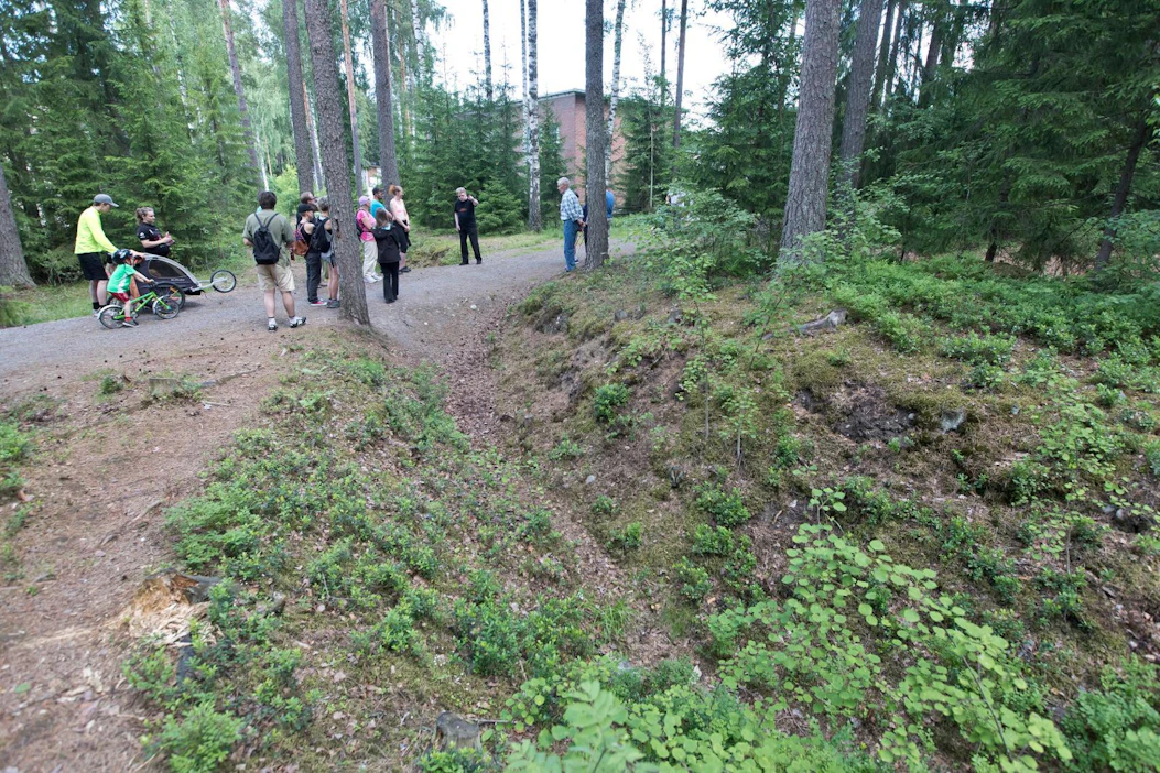 Ruotsissa halutaan säilyttää enemmän metsiä lähellä tiheästi asuttuja keskuksia. Kuva on Tampereen tuntumasta Kalkusta, jossa metsä kätkee juoksuhautojen verkoston.