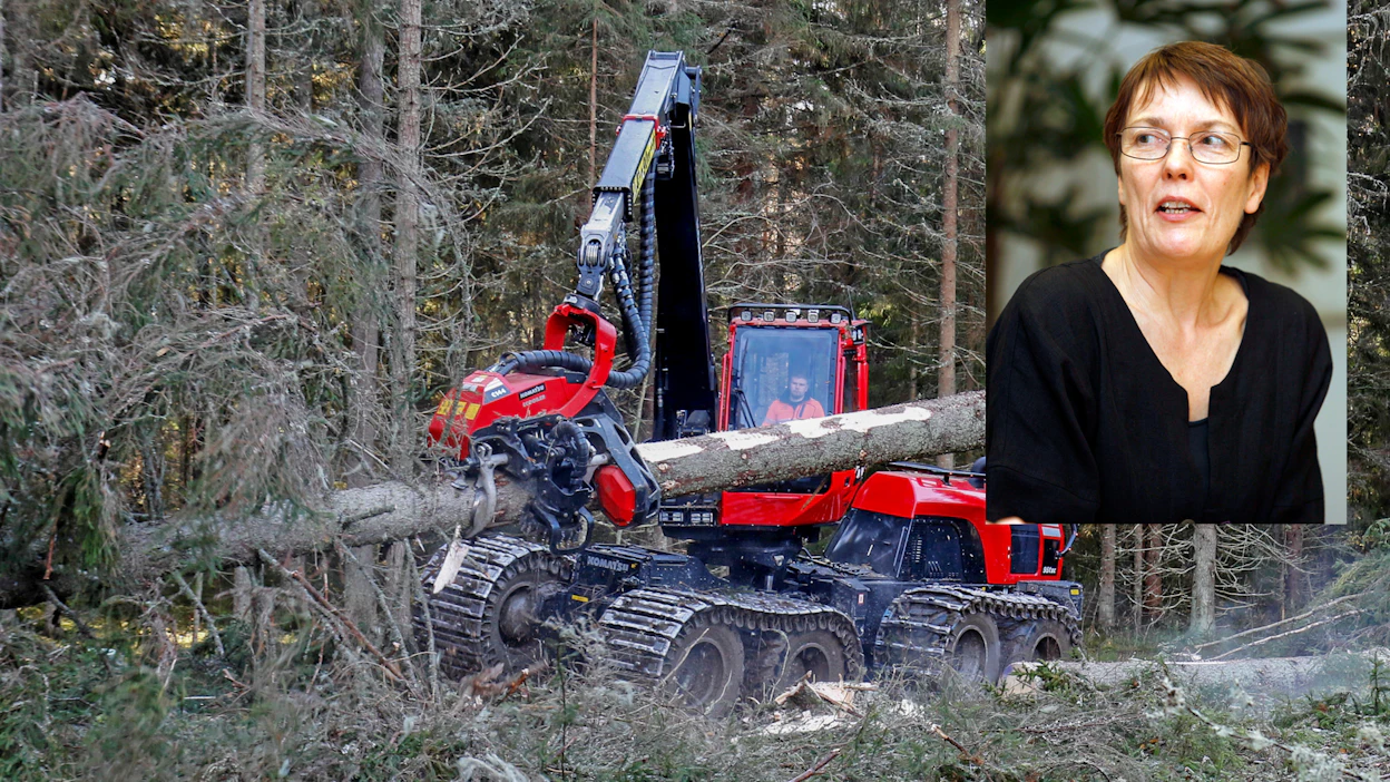 Siinä, onko tarpeen muuttaa politiikkaa, ei kuitenkaan ole kyse syyllisistä, kirjoittaa Satu Hassi.