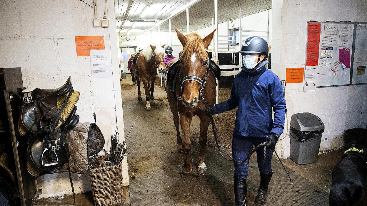 Koronakriisin alkuvaiheessa hevosia ei saanut laittaa Heponiityn ratsastuskoululla kuntoon itse. Nykyisin tuntilaiset saavat hoitaa hevosensa, mutta maskin kanssa. Turvavälit säilyvät hevosten parissa luonnostaan, sillä väliä muihin on ratsastuksessa pidettävä myös normaaliolosuhteissa, pohtii Nita-hevosella ratsastanut riihimäkeläinen Tanja Viitamäki.
