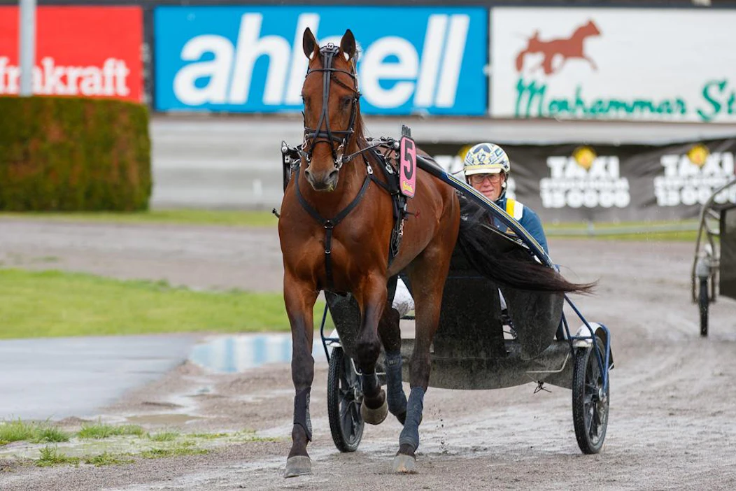 Takaisin Suomeen? Evaluate (09,4 ja runsaat 420 000 euroa) piipahti Suomessa kevättalvella yhden startin ajan.