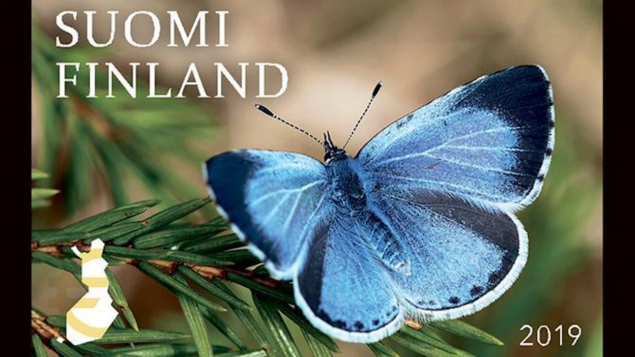 Suomen kaunein postimerkki vuonna 2019 oli Stiina Hovin suunnittelema paatsamasinisiipeä esittävä merkki. Perhoskuvan on ottanut Esa Ervasti.