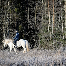 Hevosten liikuttamisesta ja ulkoiluttamisesta huolehtiminen on tärkeää. Uudenmaan ja Hämeen rajalla poliisi on sallinut omistajien kulkemisen hoitamaan hevosta tarvittaessa rajan yli.