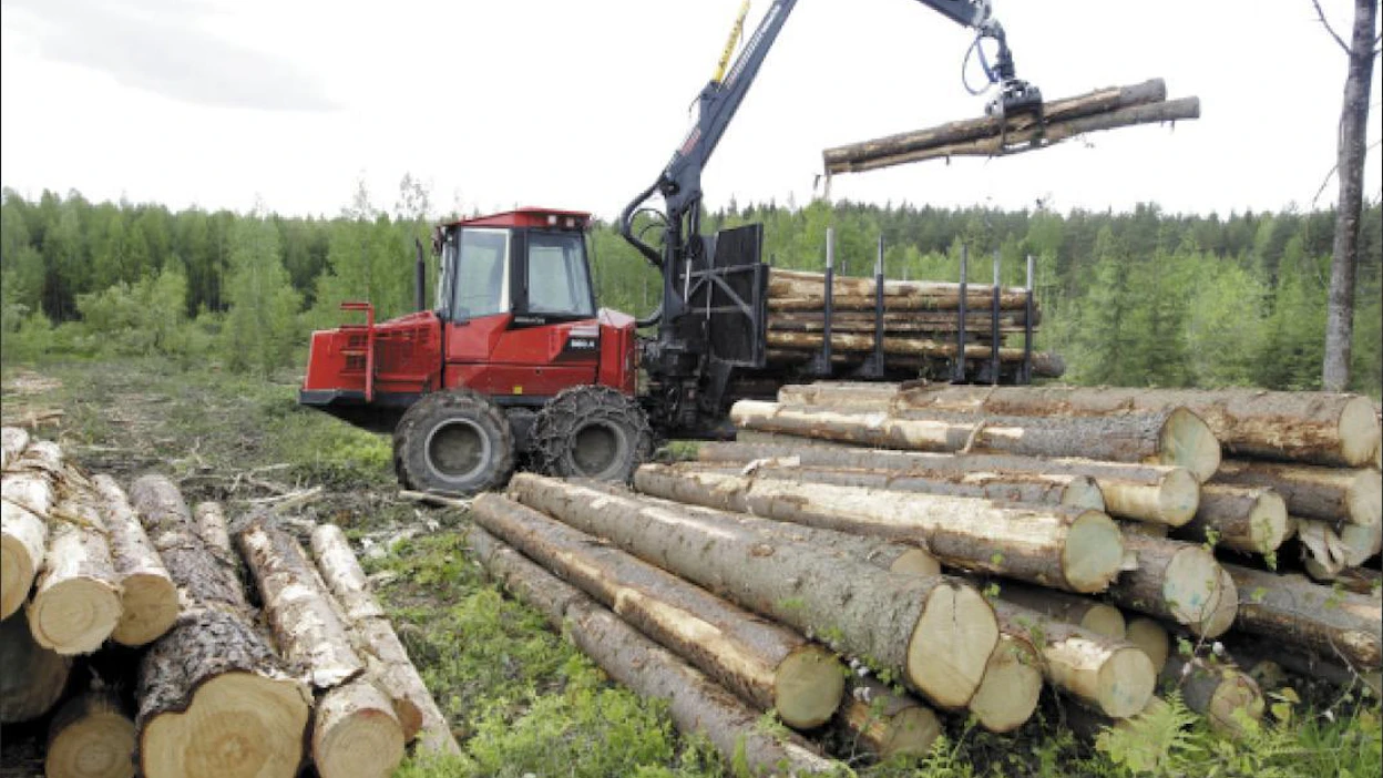 Metsähallitus myy paljon tukkia Itä- ja Pohjois-Suomen sahoille. Henkilöstö edellyttää työllistämisen sisällyttämistä tulevaan lakiin. Markku Vuorikari