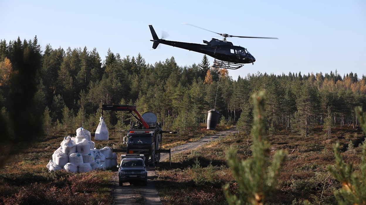Sastamalalaisen metsänomistajan Asseri Alarukan metsiin levitettiin tänä syksynä rakeistettua tuhkaa 50 hehtaarin alalle.