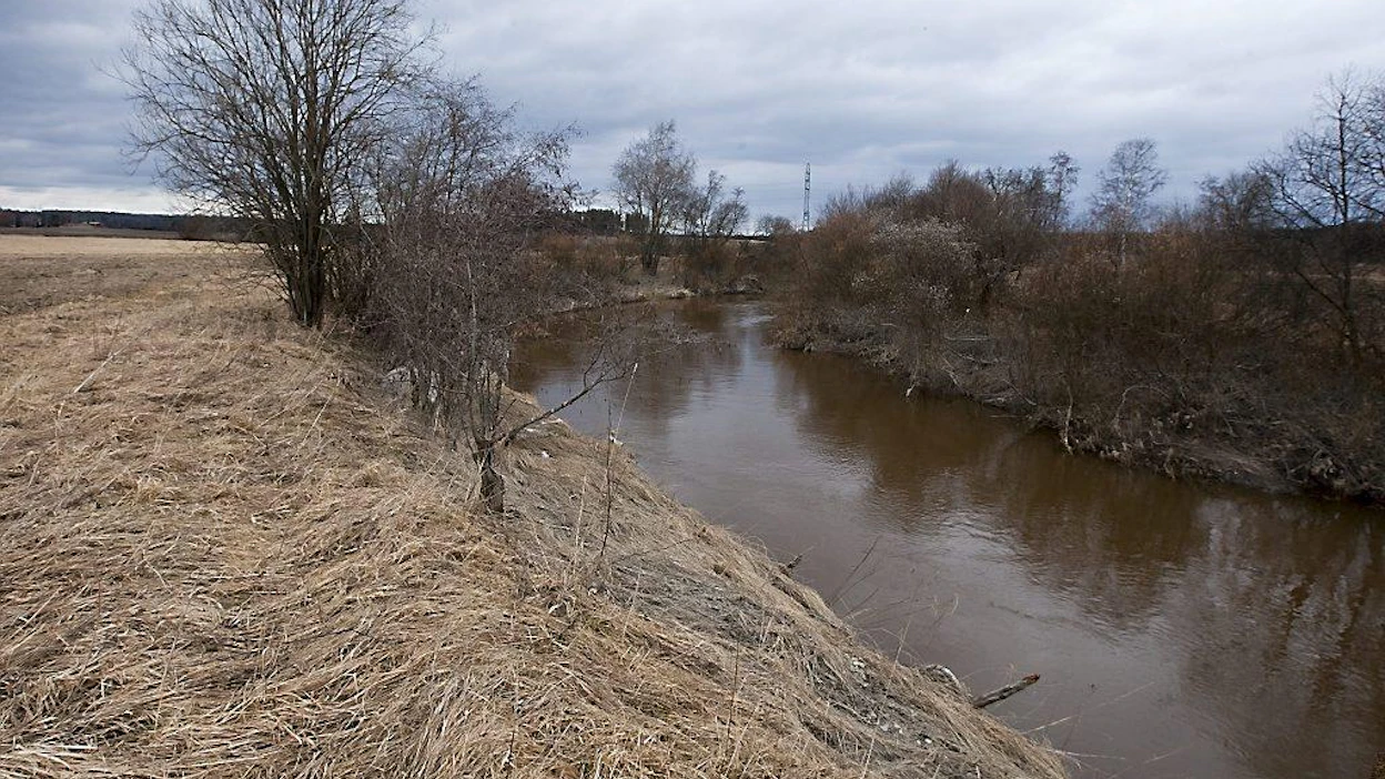 Vantaanjoki virtaa peltojen keskellä Vantaan Riipilässä. Joki liitetään Natura 2000 -verkostoon. Syy on vuollejokisimpukan suojelu.