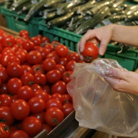Kasvihuoneissa viljeltiin viime vuonna myyntiin tomaatteja 38 ja kurkkuja 40 miljoonaa kiloa.