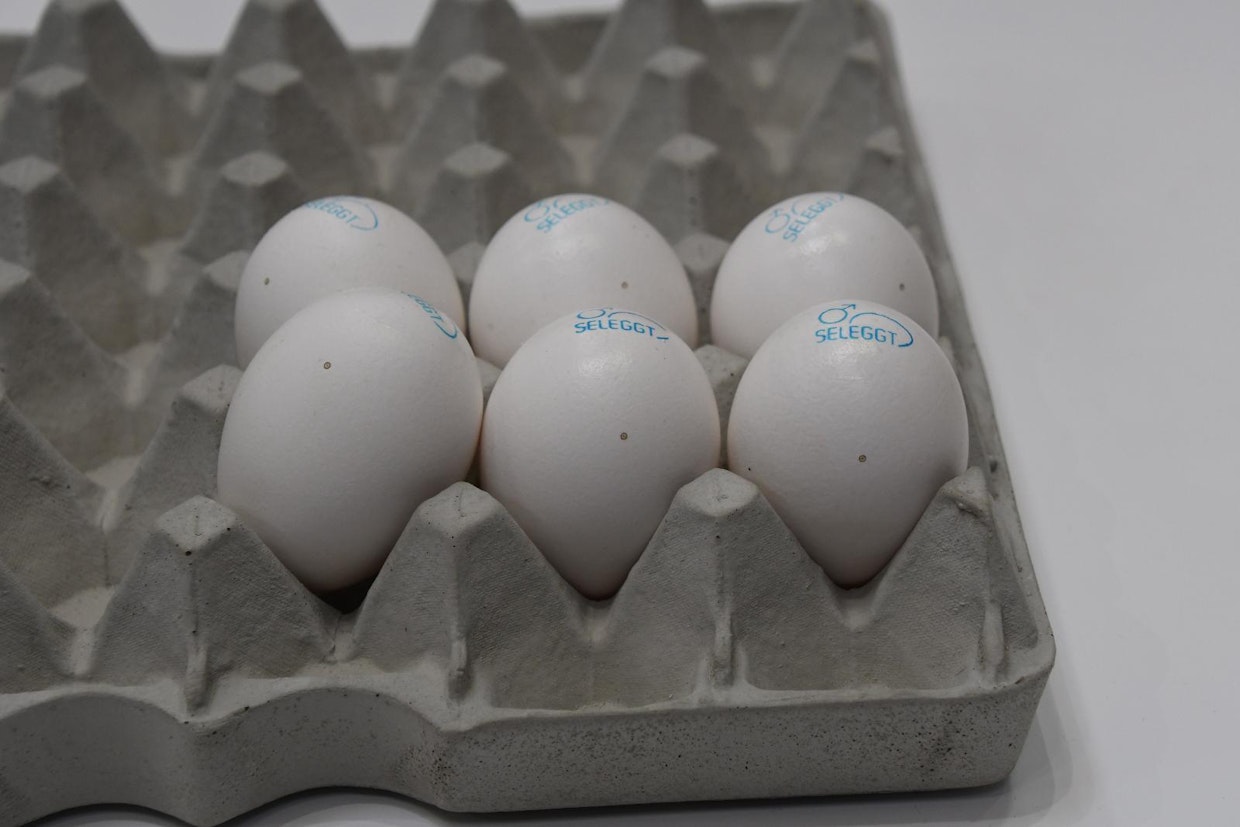 SELEGGT GmbH esitteli haudottavien kananmunien sukupuolen valintaa ennen haudontaa. Laite poraa munaan 0,3 mm halkaisijaltaan olevan reiän, josta tulee ulos pieni tippa valkuaista, josta otetaan näyte.  Tärkeä osa menetelmää on patentoitu neste, johon munasta otettu näyte laitetaan. Neste reagoi hormoneihin, punainen on naaraan markkeri. Esittelijä kertoi menetelmällä päästävän 99 % tarkkuuteen. Edut ovat sekä taloudellisia että eettisiä, kun koirasuntuvikkoja ei enää tarvitse hävittää ja samoilla haudontakoneilla päästään huomattavasti suurempaan tuottavuuteen. Uutuus palkittiin näyttelyssä hopeamitalilla. (SN)