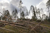Kun myrskytuhoja tulee paljon kerralla, niiden korjaaminen kestää.