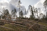 Kun myrskytuhoja tulee paljon kerralla, niiden korjaaminen kestää.