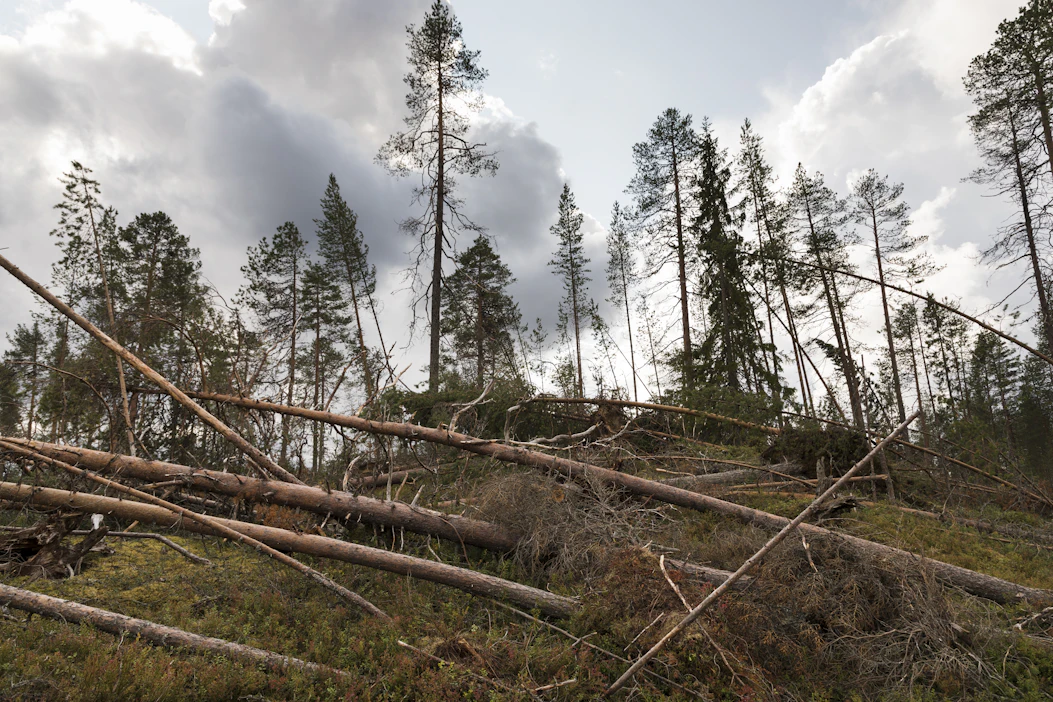 Kun myrskytuhoja tulee paljon kerralla, niiden korjaaminen kestää.