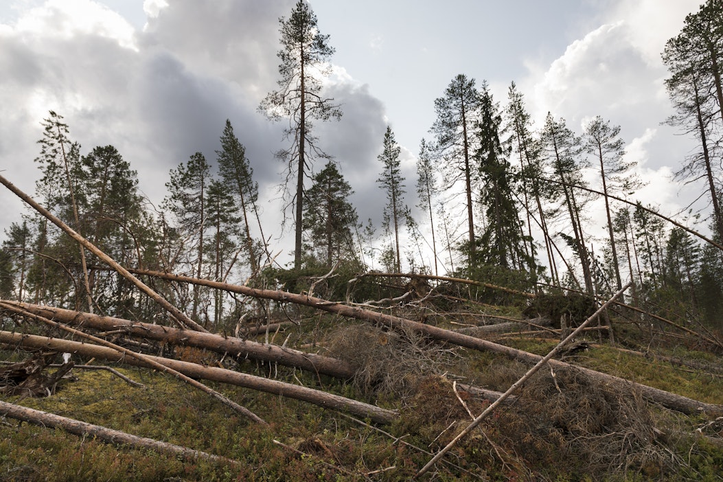 Kun myrskytuhoja tulee paljon kerralla, niiden korjaaminen kestää.