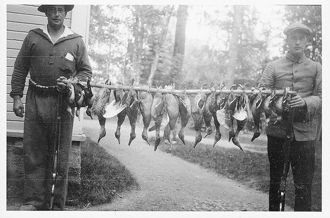 Kimmo ja Osmo Tiililä esittelevät Pälkänevedeltä saamaansa sorsasaalista 1920-luvun alussa.