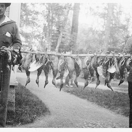 Kimmo ja Osmo Tiililä esittelevät Pälkänevedeltä saamaansa sorsasaalista 1920-luvun alussa.