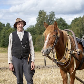 Tutkijoiden mielestä myös työhevosista on suuri tarve saada geeniperimää talteen. Matti Makkonen ja hänen suomenhevostammansa Luomuksen Lahja osallistuivat viime kesänä hevoskynnön SM-kisoihin. 