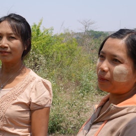 Myo Gi (vas.) hoitaa Phe Wlan kylän tuotteiden yhteismyynnin eteenpäin. Zin Zin Chaw`n kasvoilla on tanakaa, paikallisesta puusta jauhettua tahnaa, jota käytetään aurinkosuojana.