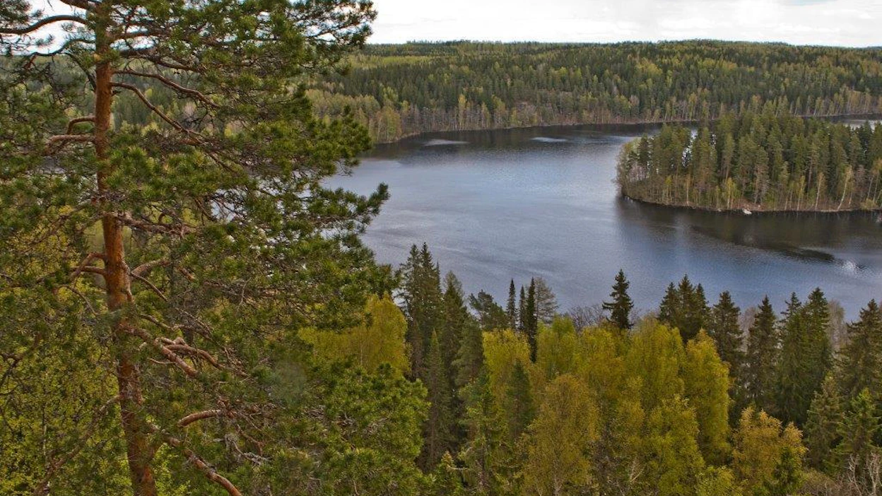 Metsähallituslaki on herättänyt runsaasti keskustelua. Kuvan maisemat ovat Aulangon luonnonsuojelualueelta.