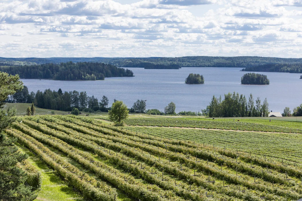 Paikkariippumaton työ antaa kunnille ja alueille mahdollisuuden kilpailla asukkaista kaupunkien kanssa.