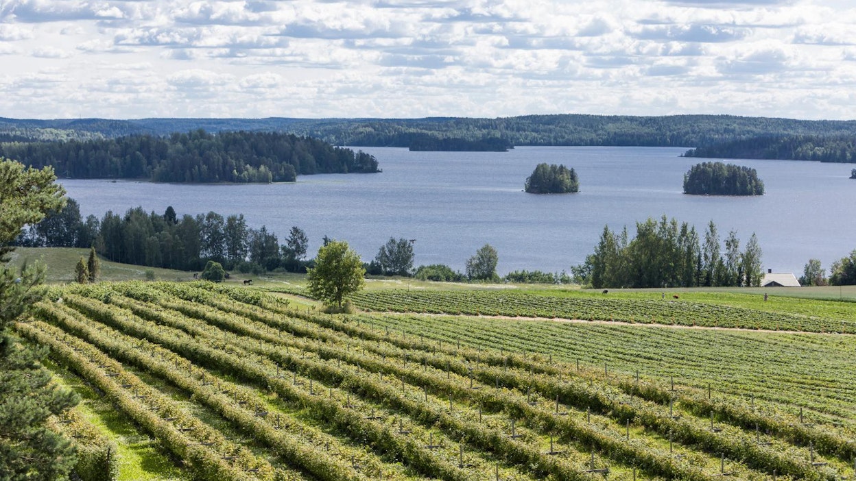 Paikkariippumaton työ antaa kunnille ja alueille mahdollisuuden kilpailla asukkaista kaupunkien kanssa.