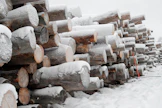 Uusi FSC-standardi vaatii jättämään pääsääntöisesti metsään kaikki kelot ja muun lahopuun, ellei kyse ole esimerkiksi hyönteistuhojen vaaraa aiheuttavasta merkittävästä määrästä tuoretta puuta.