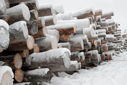 Uusi FSC-standardi vaatii jättämään pääsääntöisesti metsään kaikki kelot ja muun lahopuun, ellei kyse ole esimerkiksi hyönteistuhojen vaaraa aiheuttavasta merkittävästä määrästä tuoretta puuta.