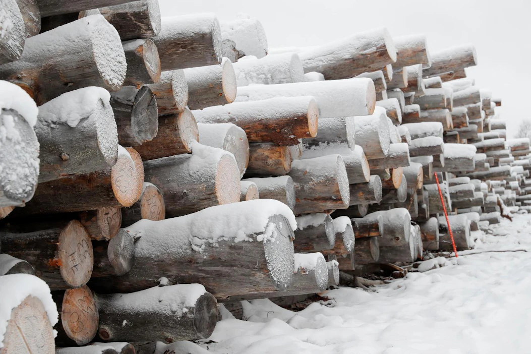Uusi FSC-standardi vaatii jättämään pääsääntöisesti metsään kaikki kelot ja muun lahopuun, ellei kyse ole esimerkiksi hyönteistuhojen vaaraa aiheuttavasta merkittävästä määrästä tuoretta puuta.