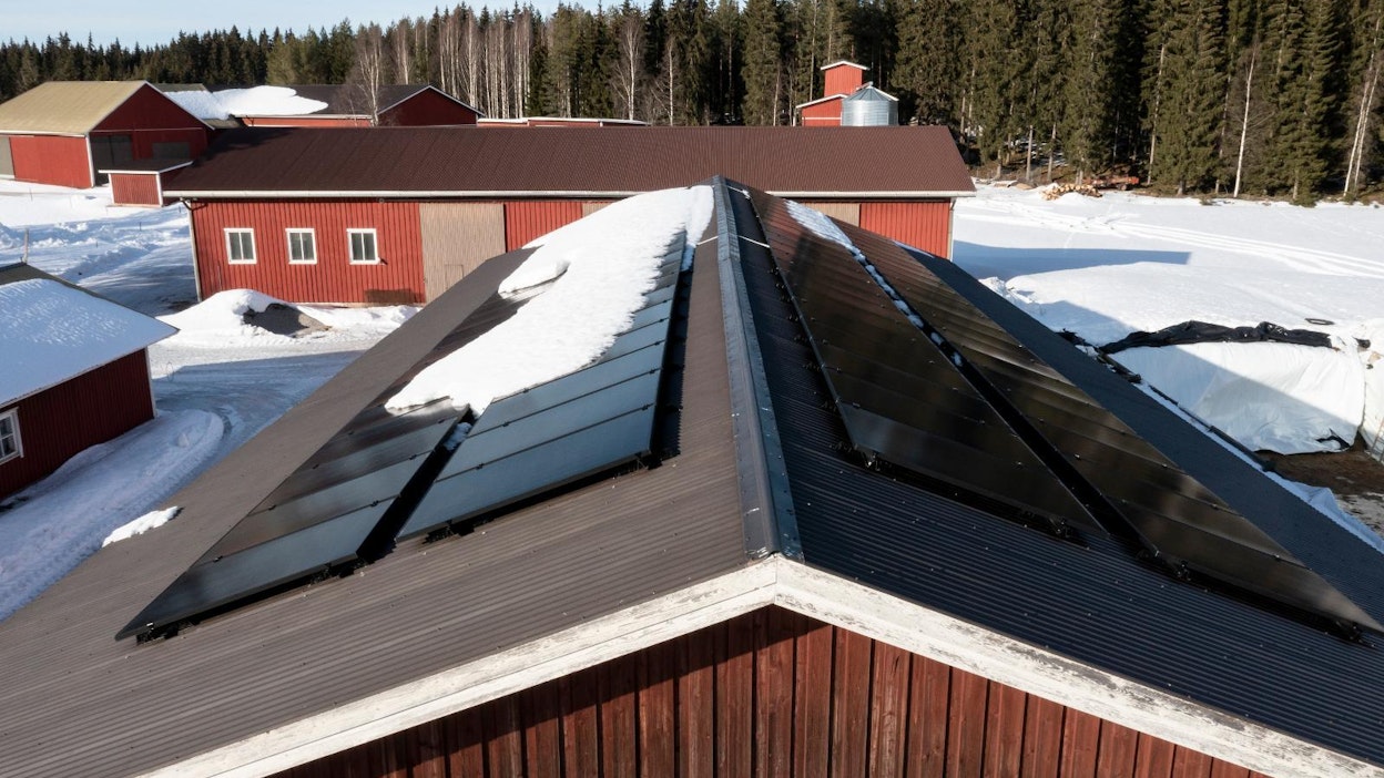 Aurinkopaneelit on asennettu Sianojan maatilan rehuvaraston katolle itä–länsisuuntaan.