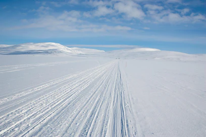 Joka viides Metsähallituksen tapaama kelkkailija oli liikkeellä luvatta vuonna 2017.